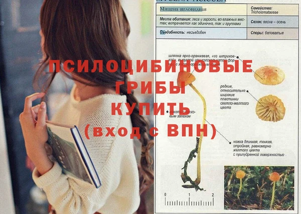 спайс Бронницы